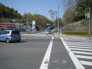 04.09 1.jpg