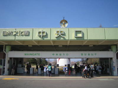 04.09 11.jpg