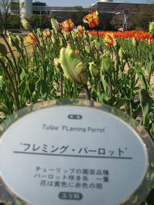 04.09 38.jpg