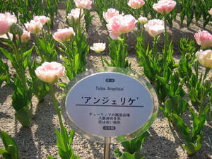 04.09 39.jpg