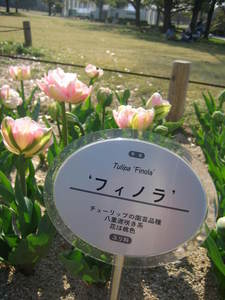 04.09 41.jpg