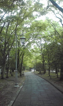 07.13 5.jpg