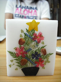 DSCF3473.jpg