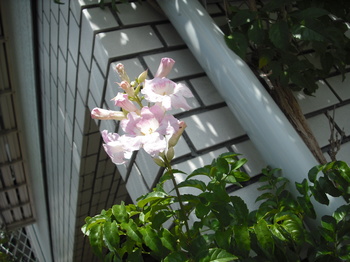 DSCF4326.jpg